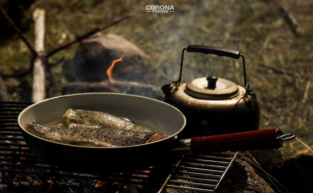 wędkarstwo skandynawia